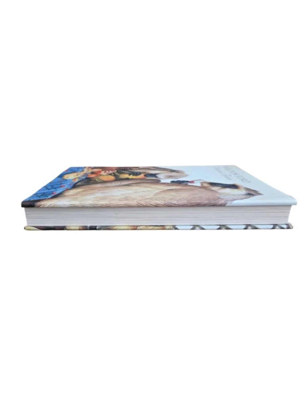 Walton Ford Pancha Tantra by Bill Buford 2009 Hardcover Art Monograph Book